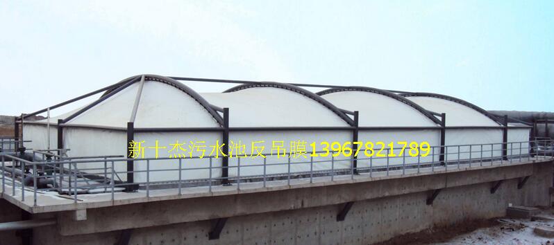 ����ͣ܇(ch��)��